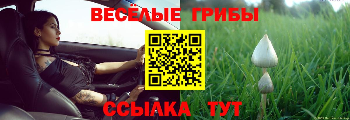 Псилоцибиновые грибы MAGIC MUSHROOMS  Псилоцибиновые грибы мухоморы  Петрозаводск  Вход с VPN 