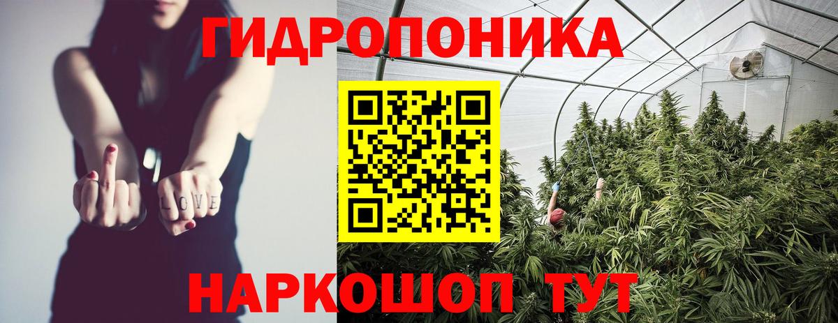 Каннабис OG Kush  Марихуана White Widow  Каннабис Ganja  Конопля LSD WEED  Вход с VPN  Петрозаводск 