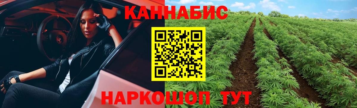 МАРИХУАНА сатива Петрозаводск